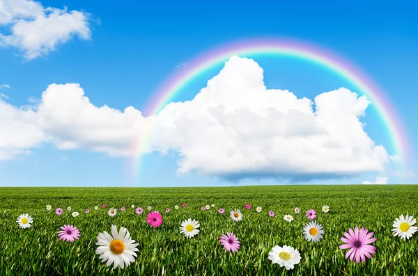 Giornata soleggiata con sfondo arcobaleno — Foto Stock