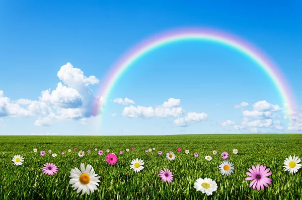 Sonniger Tag mit Regenbogenhintergrund — Stockfoto