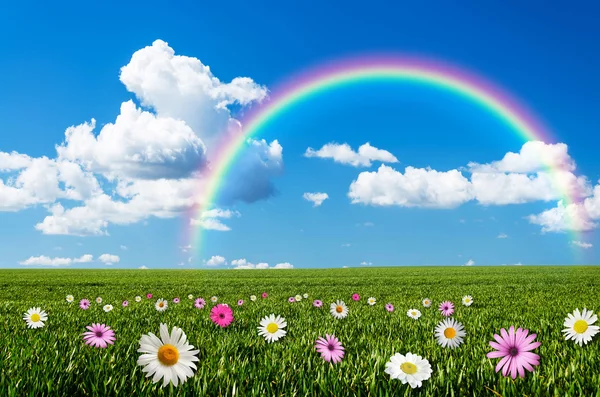 Sunny day with rainbow background