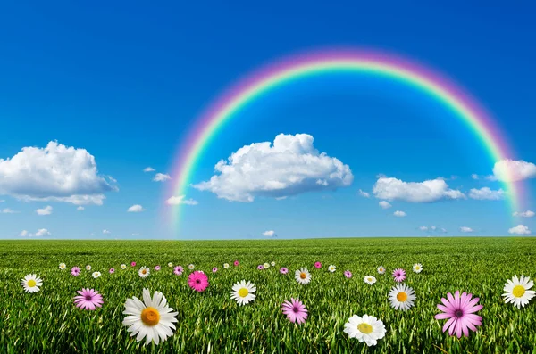 Giornata soleggiata con sfondo arcobaleno — Foto Stock