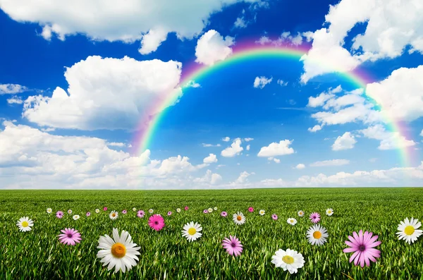 Solig dag med rainbow bakgrund — Stockfoto