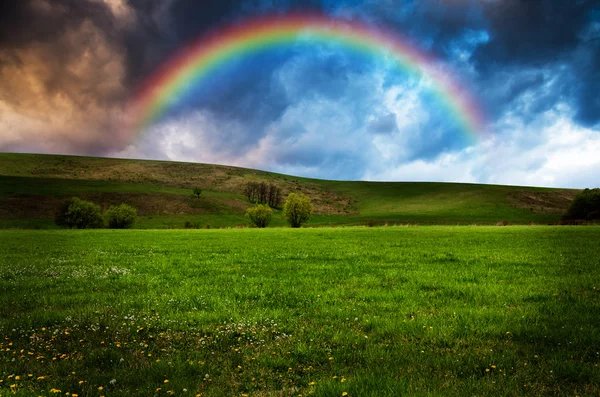 Beautiful field with rainbow at sunset or sunrise