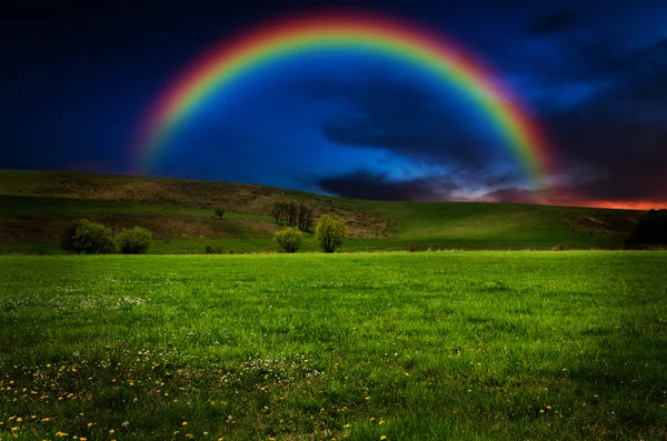 Beautiful field with rainbow at sunset or sunrise