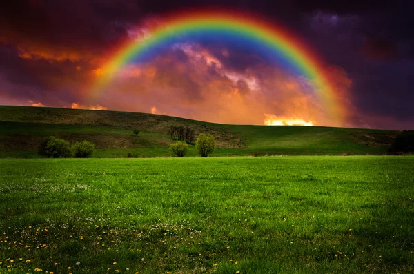 Hermoso campo con arco iris al atardecer o al amanecer — Foto de Stock