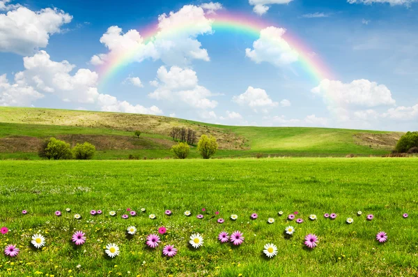 Hermoso campo con arco iris en el fondo — Foto de Stock