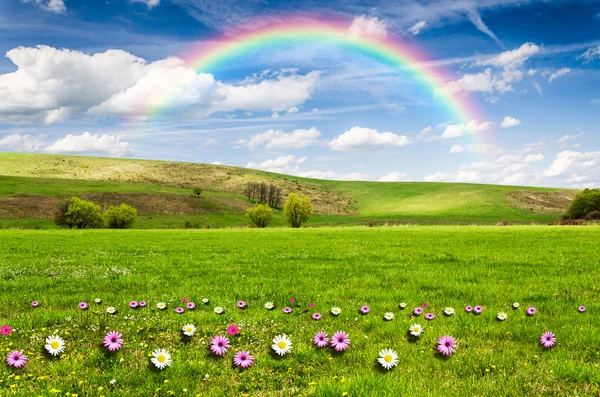 Hermoso campo con arco iris en el fondo — Foto de Stock