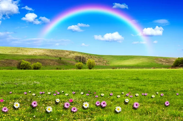 Hermoso campo con arco iris en el fondo — Foto de Stock