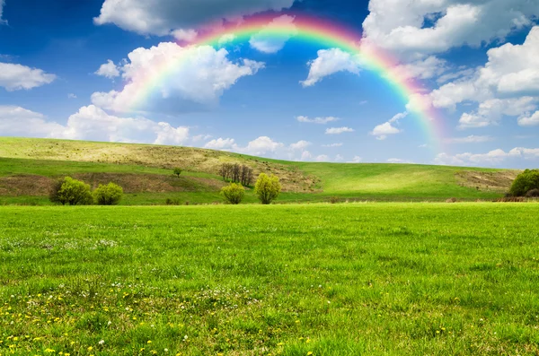 Prachtige veld met regenboog op achtergrond — Stockfoto