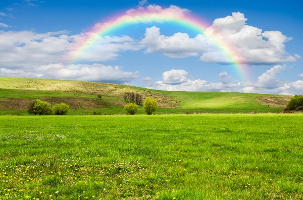 Красивое поле с радугой на заднем плане — стоковое фото