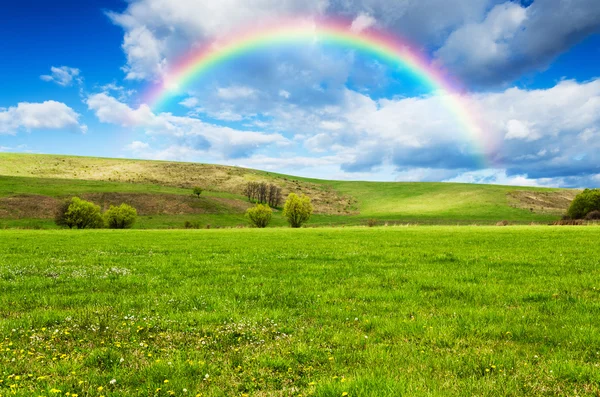 Beautiful field with rainbow at background — Stock Photo, Image