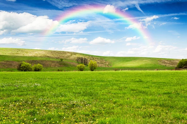 Hermoso campo con arco iris en el fondo — Foto de Stock