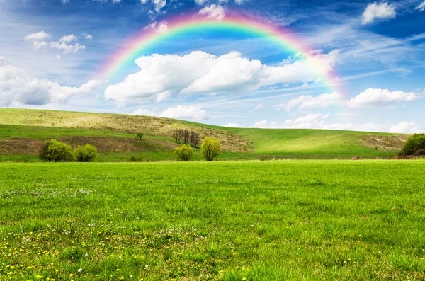 Hermoso campo con arco iris en el fondo — Foto de Stock