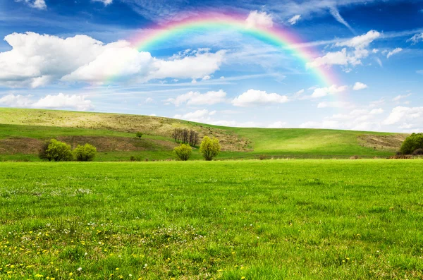 Hermoso campo con arco iris en el fondo — Foto de Stock