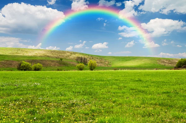 Prachtige veld met regenboog op achtergrond — Stockfoto