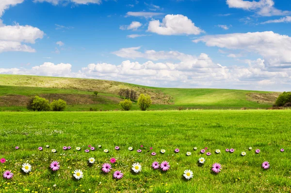 Giorno soleggiato a prato di fiore con nuvole bianche morbide — Foto Stock