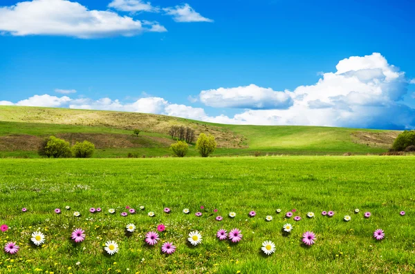 Día soleado en el prado de flores con nubes blancas esponjosas — Foto de Stock