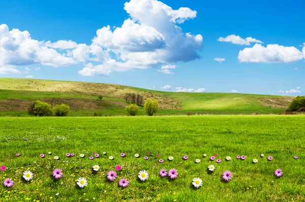 Giorno soleggiato a prato di fiore con nuvole bianche morbide — Foto Stock