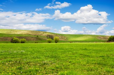 Çayır kabarık beyaz bulutlar ile güneşli gün