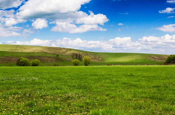 Солнечный день на лугу с пушистыми белыми облаками — стоковое фото