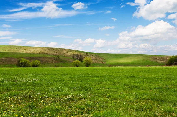 Солнечный день на лугу с пушистыми белыми облаками — стоковое фото