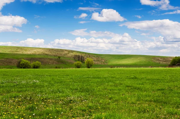 Солнечный день на лугу с пушистыми белыми облаками — стоковое фото