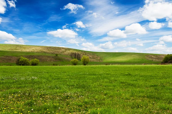 Campo verde e cielo blu — Foto Stock