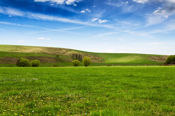 Солнечный день на лугу с пушистыми белыми облаками — стоковое фото