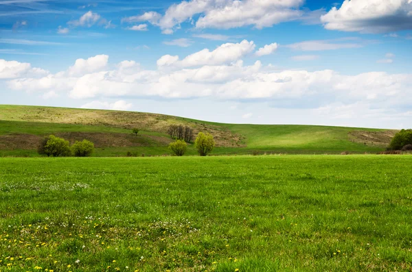 Солнечный день на лугу с пушистыми белыми облаками — стоковое фото