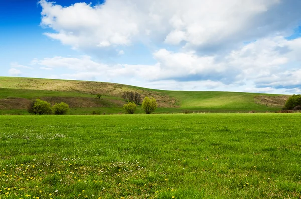 Día soleado en el prado con nubes blancas esponjosas — Foto de Stock