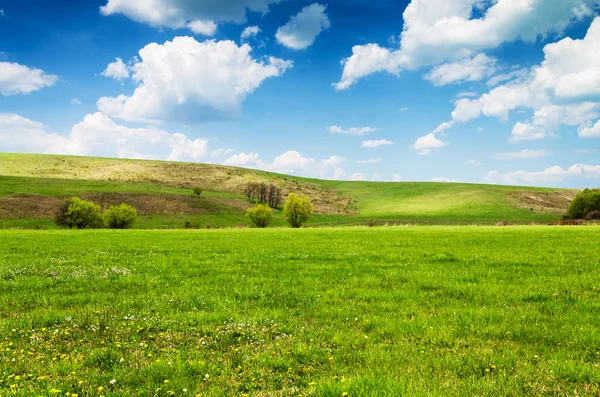 Slunečný den na louce s nadýchané bílé mraky — Stock fotografie