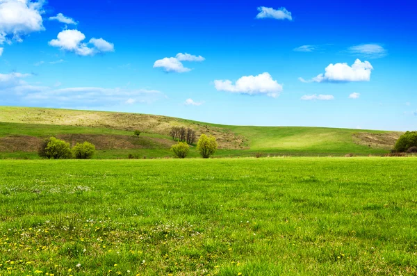 Slunečný den na louce s nadýchané bílé mraky — Stock fotografie