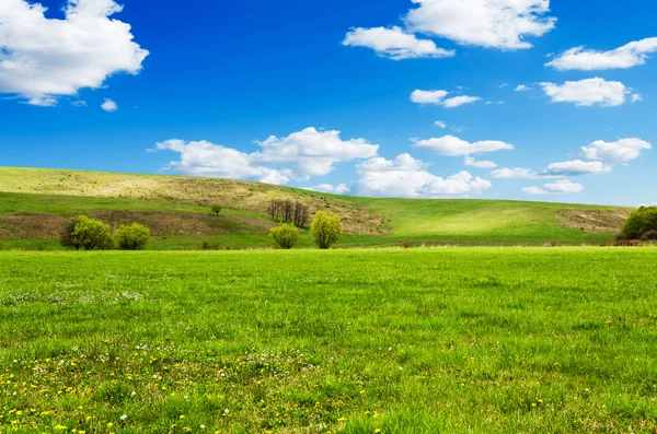 Journée ensoleillée au pré avec des nuages blancs et duveteux — Photo