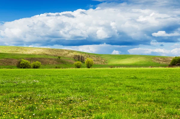 Día soleado en el prado con nubes blancas esponjosas —  Fotos de Stock