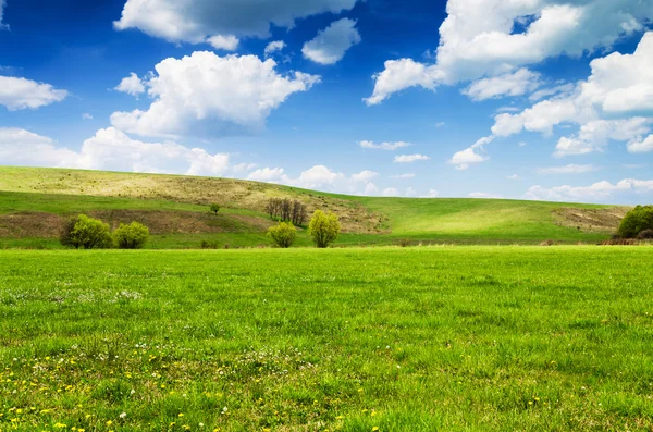 Grönt fält och blå himmel — Stockfoto