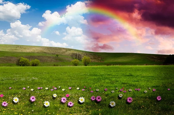 Campo verde con arco iris, concepto de día y de noche — Foto de Stock