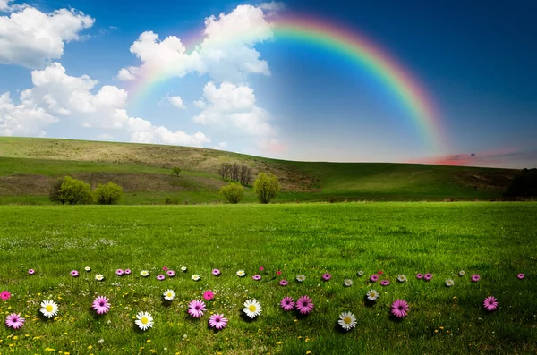 Green field with rainbow, day and night concept — Stock Photo, Image