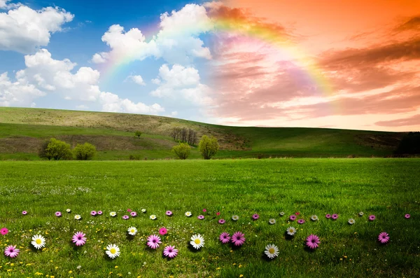 Green field with rainbow, day and night concept — Stock Photo, Image