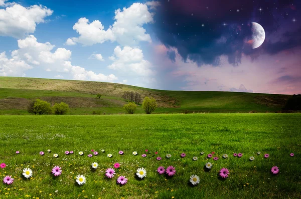 Dag och natt bakgrund — Stockfoto