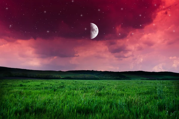 Beautiful night field background — Stock Photo, Image