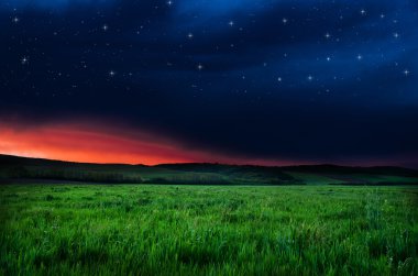 Güzel bir gece alan ve gökyüzü yıldızlarla