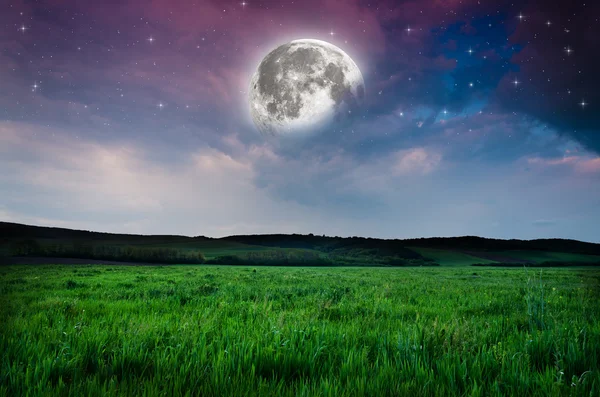 Prachtige nacht achtergrond van een veld — Stockfoto