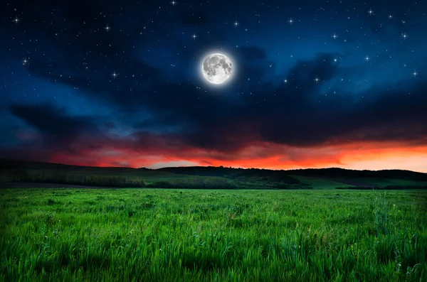 Beautiful night field background — Stock Photo, Image