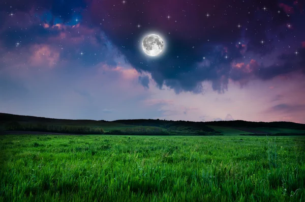 Prachtige nacht achtergrond van een veld — Stockfoto