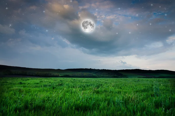 Vacker natt fältet bakgrund — Stockfoto