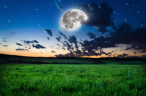 Beautiful night field background — Stock Photo, Image