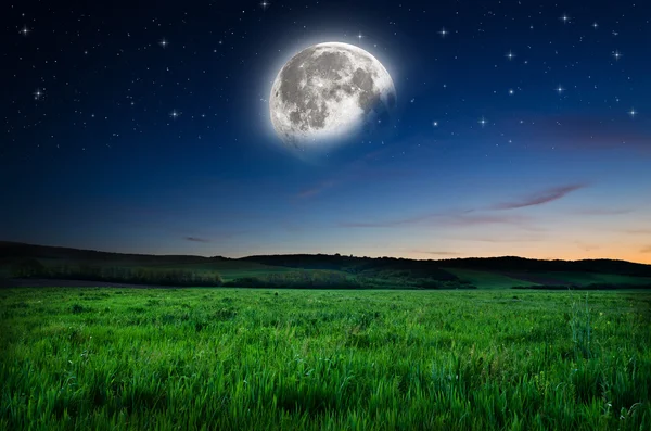 Vacker natt fältet bakgrund — Stockfoto