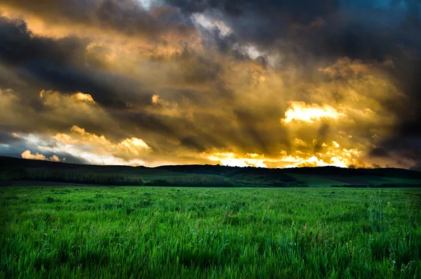 Krásný západ nebo východ slunce pole zobrazení — Stock fotografie