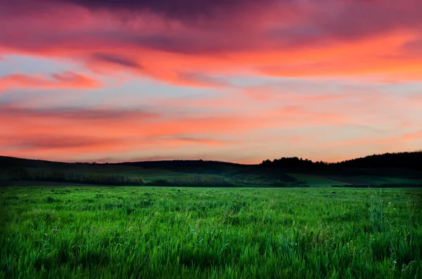 Pôr do sol bonito ou vista do campo do nascer do sol — Fotografia de Stock