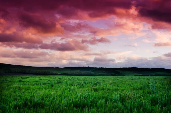 Vacker solnedgång eller sunrise fältet Visa — Stockfoto