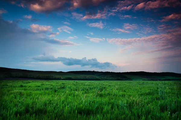 Pôr do sol bonito ou vista do campo do nascer do sol — Fotografia de Stock